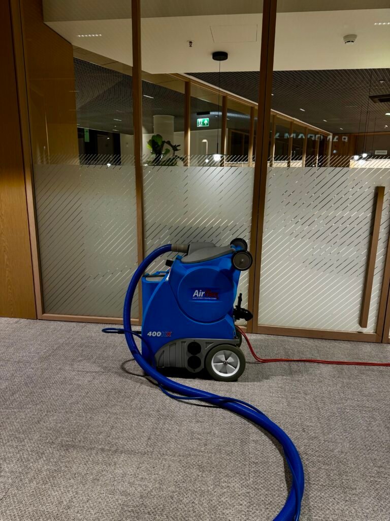 Kilimų ir kiliminės dangos giluminis cheminis valymas